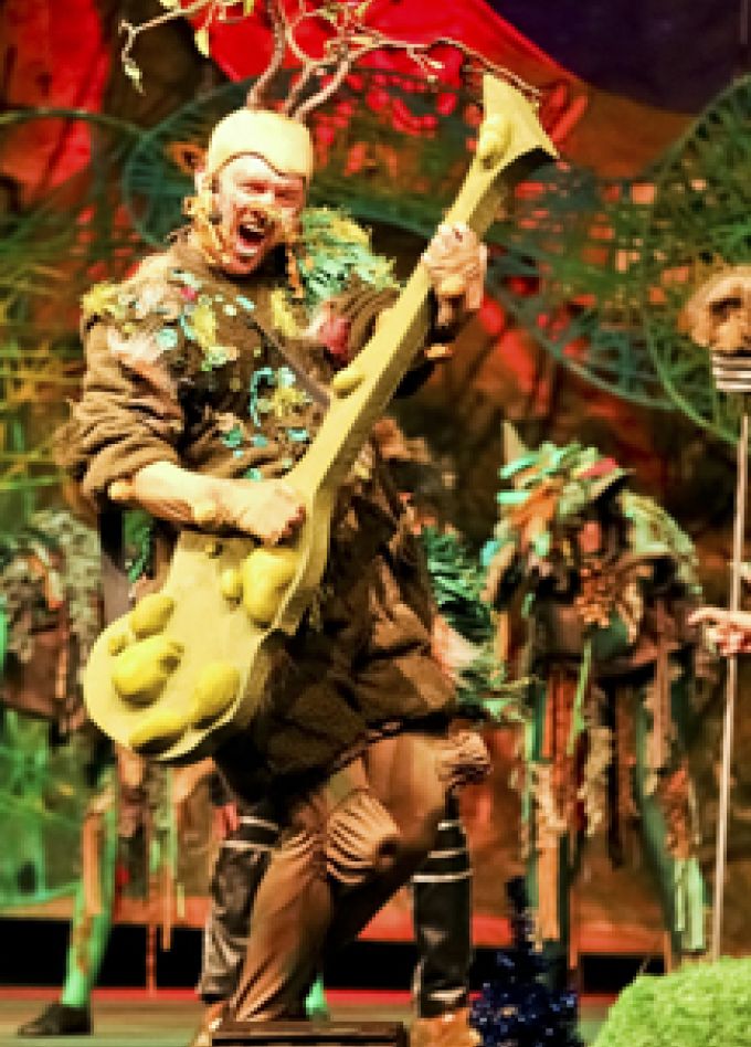 Маша и Витя против Диких Гитар