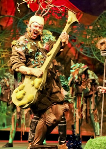 Маша и Витя против Диких Гитар