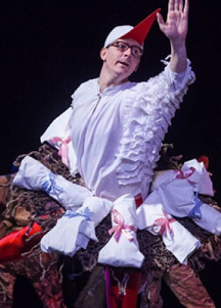 Путешествие Нильса с дикими гусями