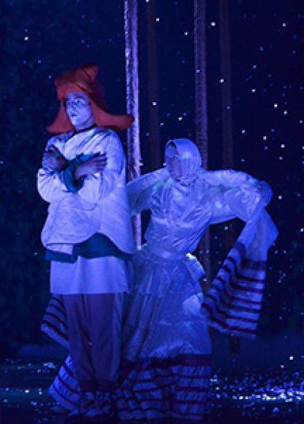 По щучьему велению (ТЮЗ)